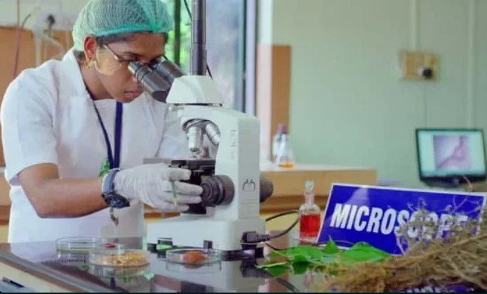 screenshot 2025 04 22 101929